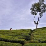 India–Sri Lanka: The Forgotten Luxury Corridor Investors Are Revisiting